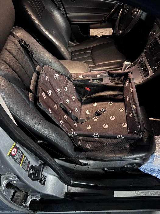 Cesto para trasnporte animais no carro com trela