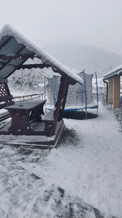 Відпочинок в Карпатах Здам кімнату приватний сектор оренда подобово