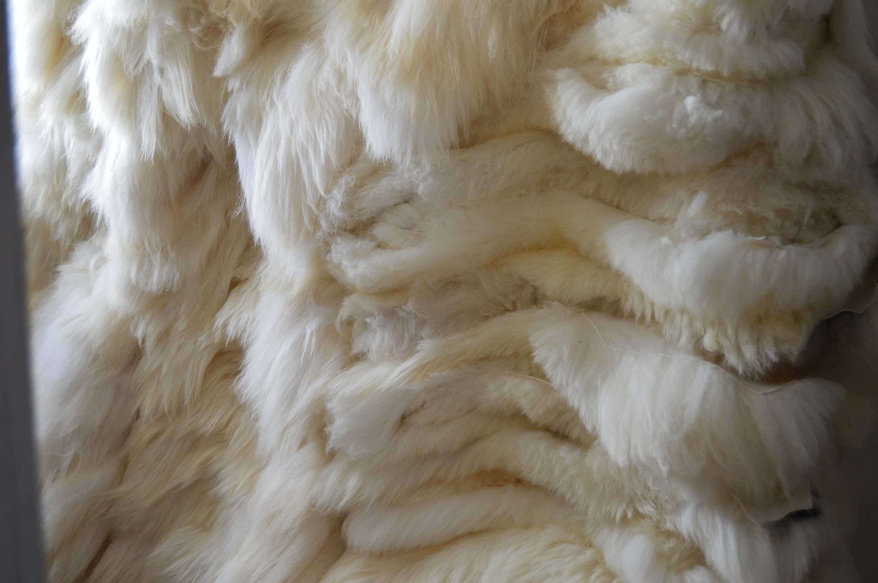 Skóry dekoracyjne owcze sprzedaż hurtowa / Wholesale of sheepskins