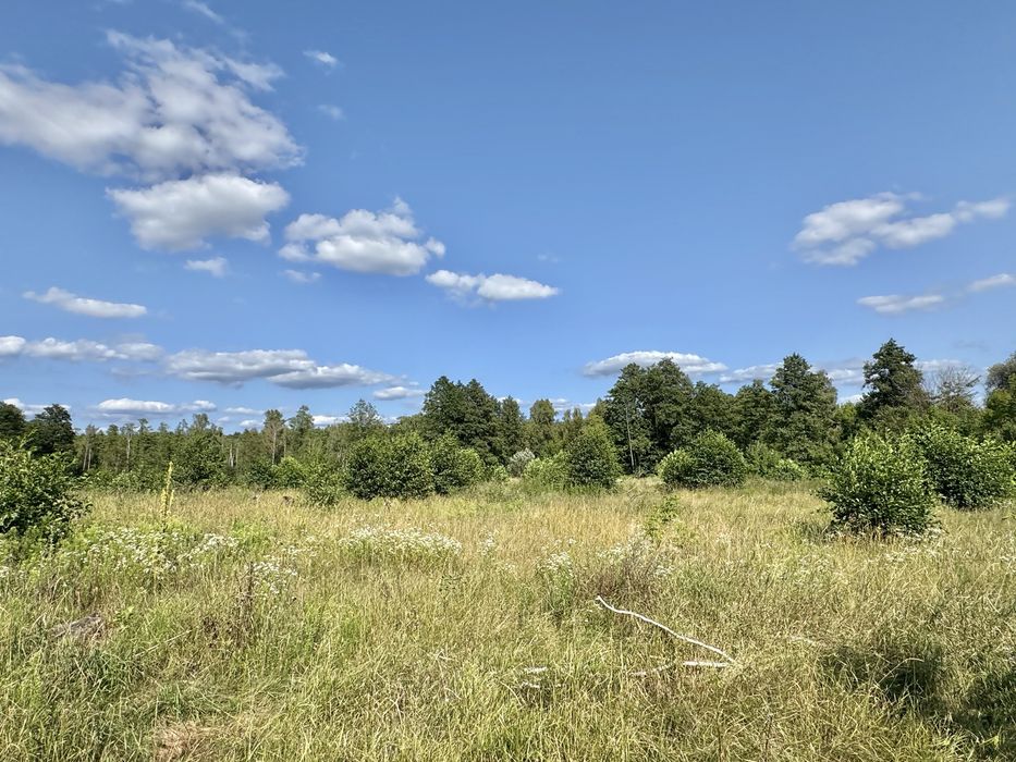 Продам фасадну земельну ділянку 3,3 Га!