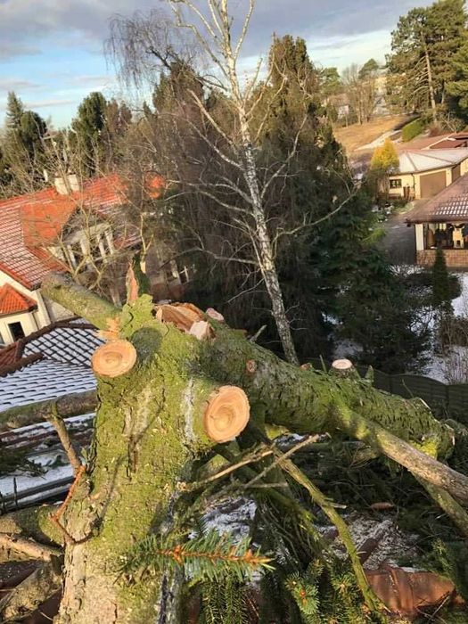 Wycinka drzew,przycinanie gałęzi, złamane drzewa -Piaseczno i okolice!