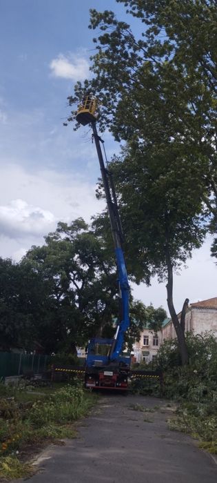 Спилюем аварійні дерева