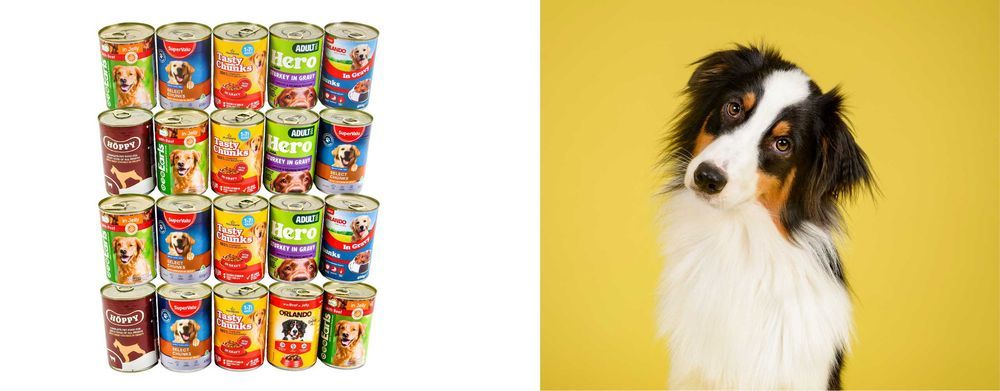 Mokra Karma Dla Psa  20 X 400G Pakiet Mieszany Mix Smaków Kawałki