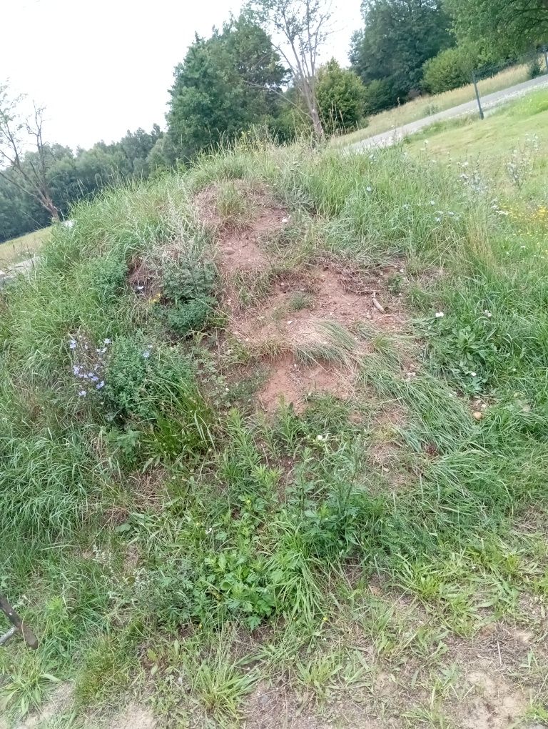 Oddam gruz i ziemię