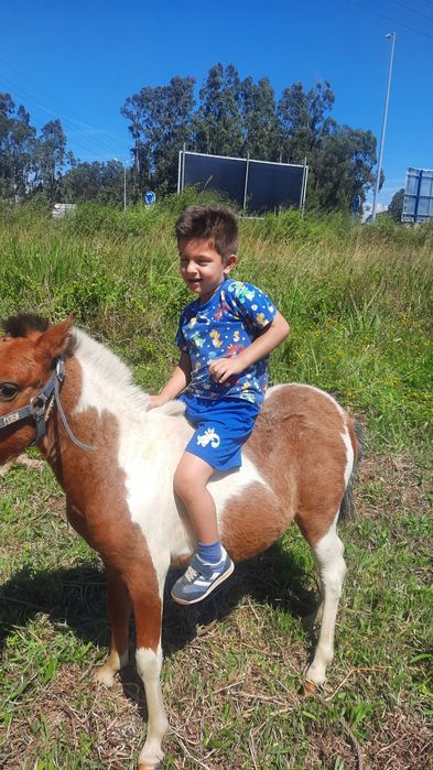 Ponei Apaluso a fazer um ano