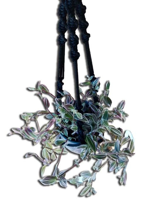 Kwietnik wiszący ze sznurka trzyramienny polipropylen K3P-04