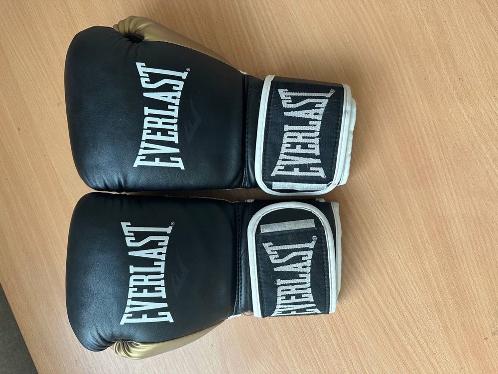 Рукавиці боксерські EVERLAST