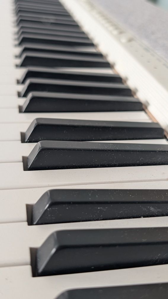 Przenośny Keyboard Casio Casiotone CT-S1-76
