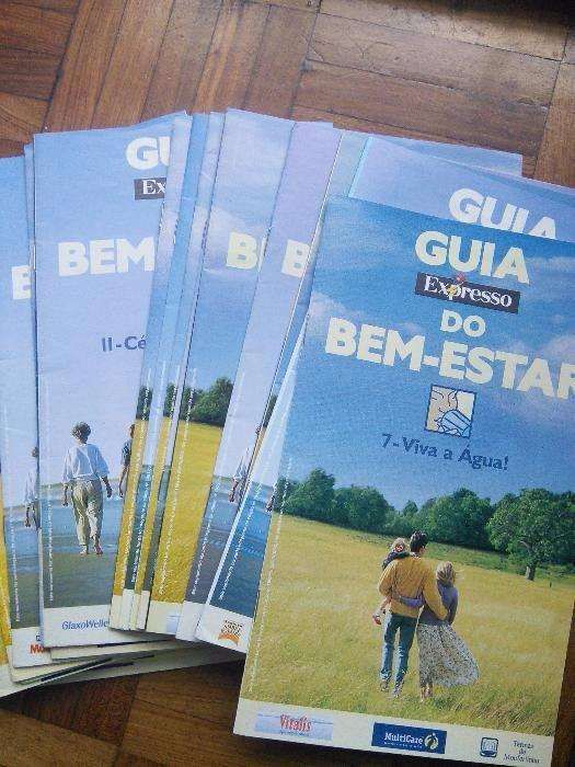 Guia Expresso do Bem-Estar 1 (completo)