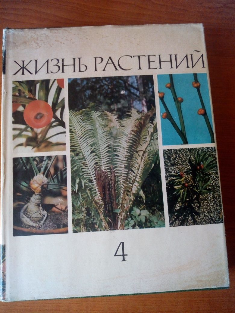 Жизнь растений Происхождение высших растений Их эволюция Ареалы жизни.