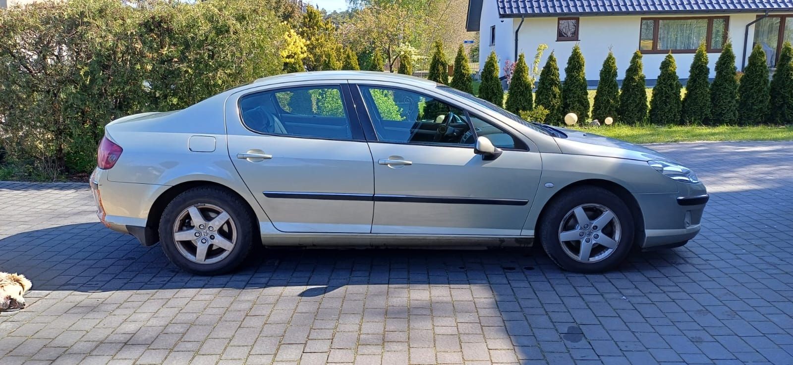 Peugeot 407, benzyna