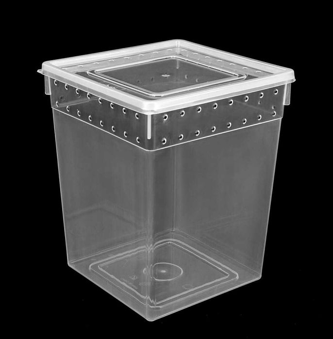 Terrarium dla ptasznika pojemnik hodowlany braplast 21x21x25cm pająk