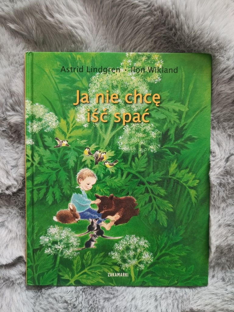 Książka Ja nie chce iść spać