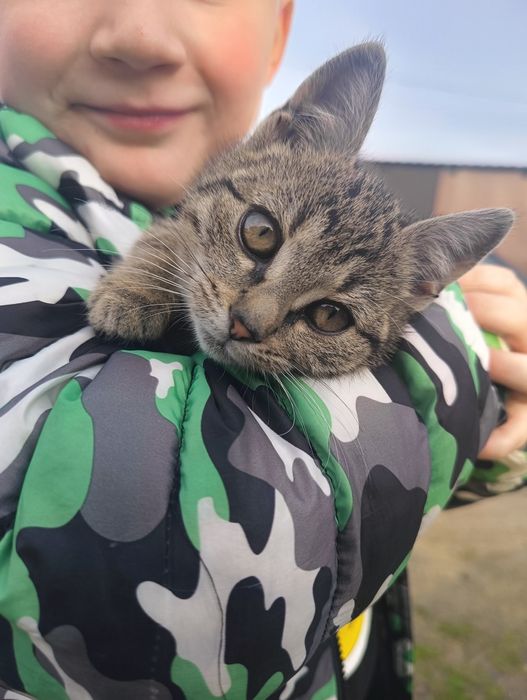 Kotka szaro bura Rezerwacja