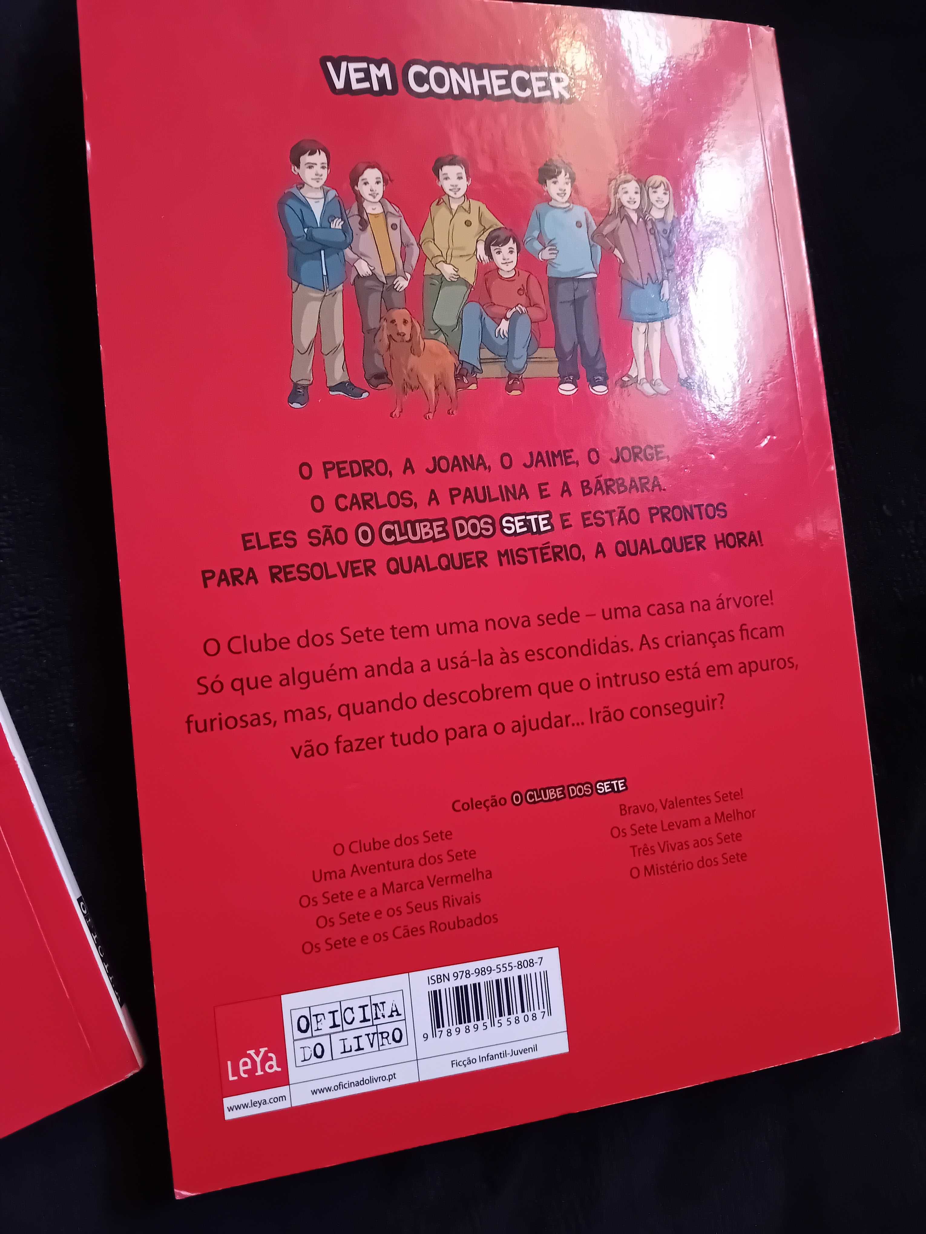 Os sete e a marca vermelha - Enid Blyton