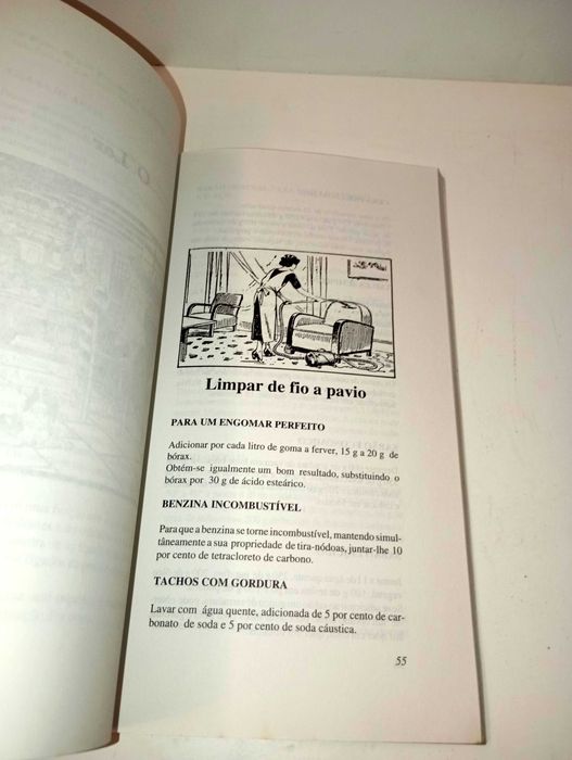 Dicionário Ilustrado de Receitas Perdidas