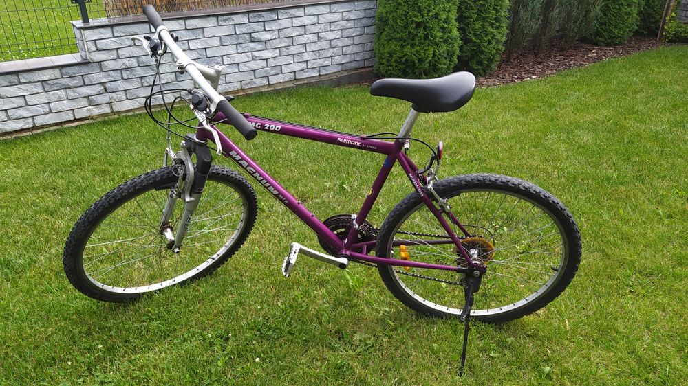 Rower Magnum MG200 rama 19''