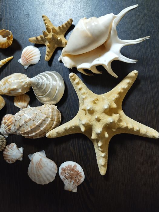 Продам рамки под фото или под картинки с морской тематикой + подарок