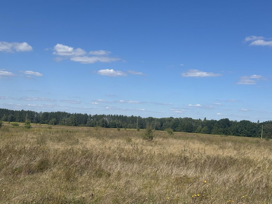 Пропонуємо до продажу земельну ділянкув с. Свидівок