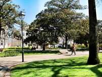 Loja com yield 6% entre o Chiado e Príncipe Real