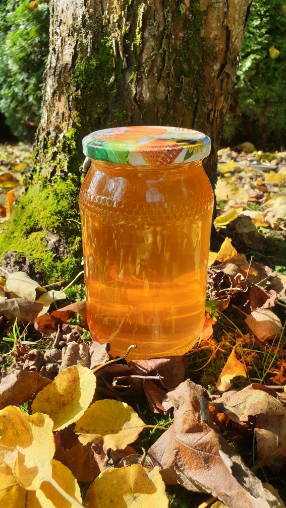 Miód Wielokwiatowy Pilzno - naturalny i pachnący 900 ml/1.2 kg