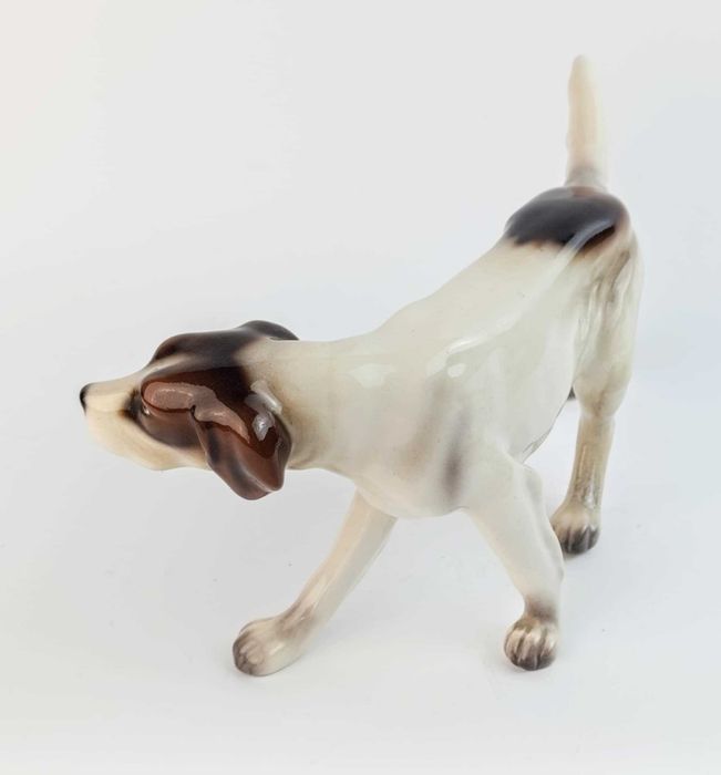 Steffl - pies myśliwski, Wiedeń