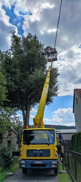 frezarka , rębarka, wycinka drzew , podnośniki