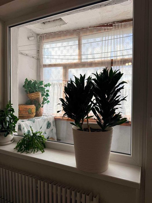 Сдам 3 комн. квартиру ул. Амосова, д.56