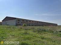 Продаж сільгосп-об'єкту в с. Товстенькому