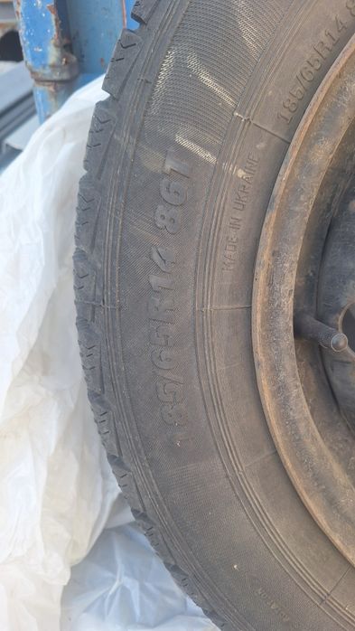 Резина зима 185 65 14