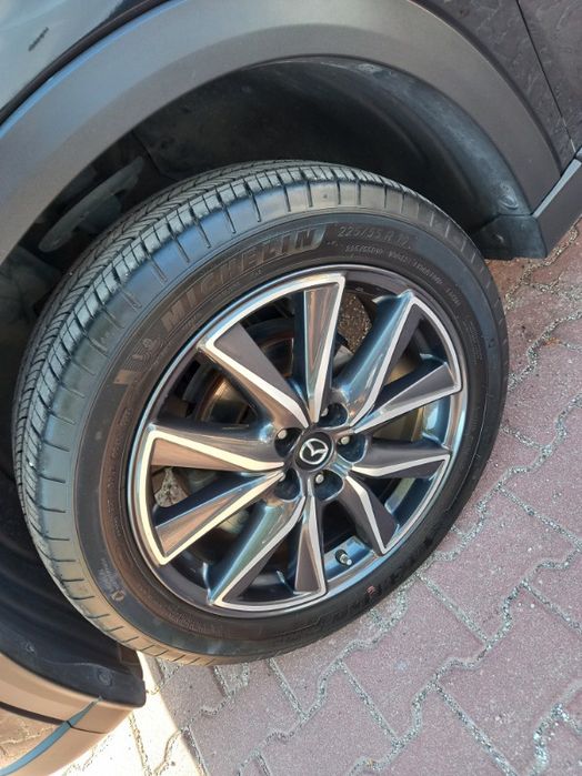 Opony wielosezonowe Michelinie