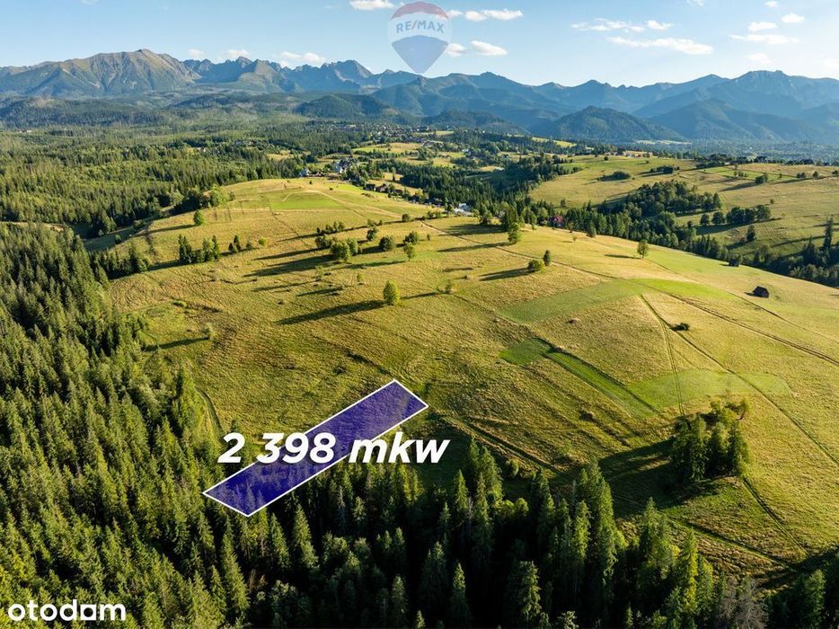 Działka rolno-leśna Zakopane