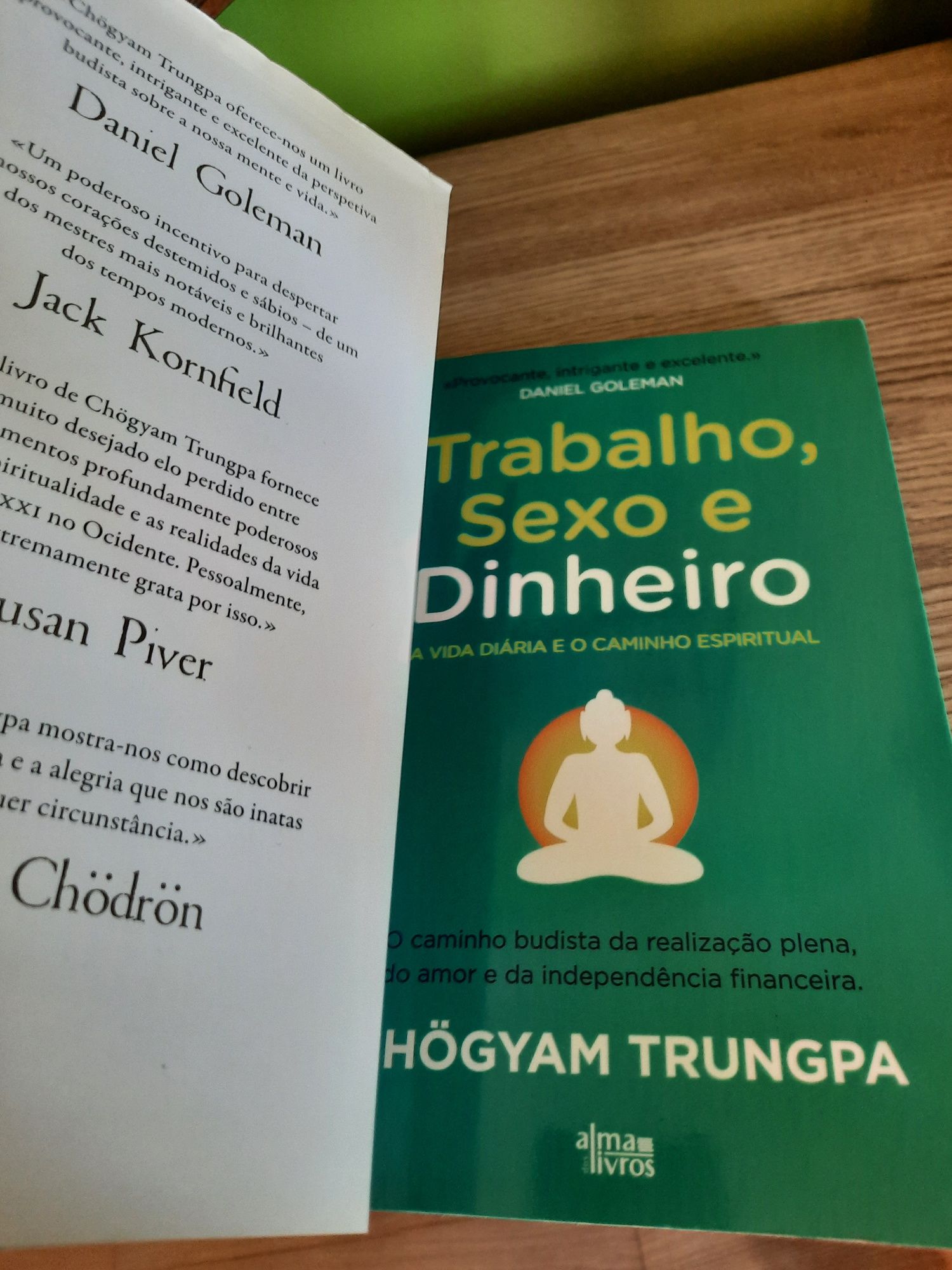 Trabalho, sexo e dinheiro  (Chogyam Trungpa) - budismo