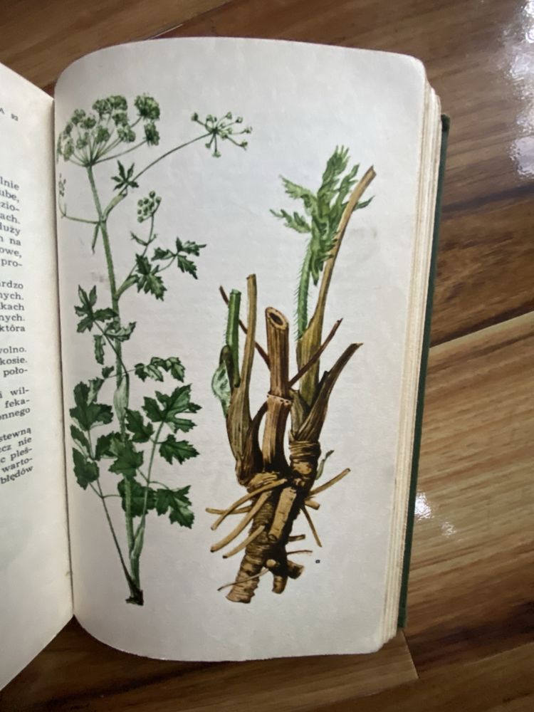 Barbara Rutkowska. Atlas Roślin Łąkowych I Pastwiskowych