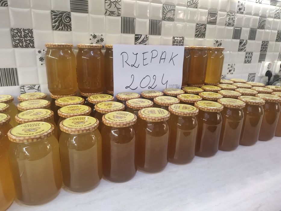 Miód rzepakowy 2024