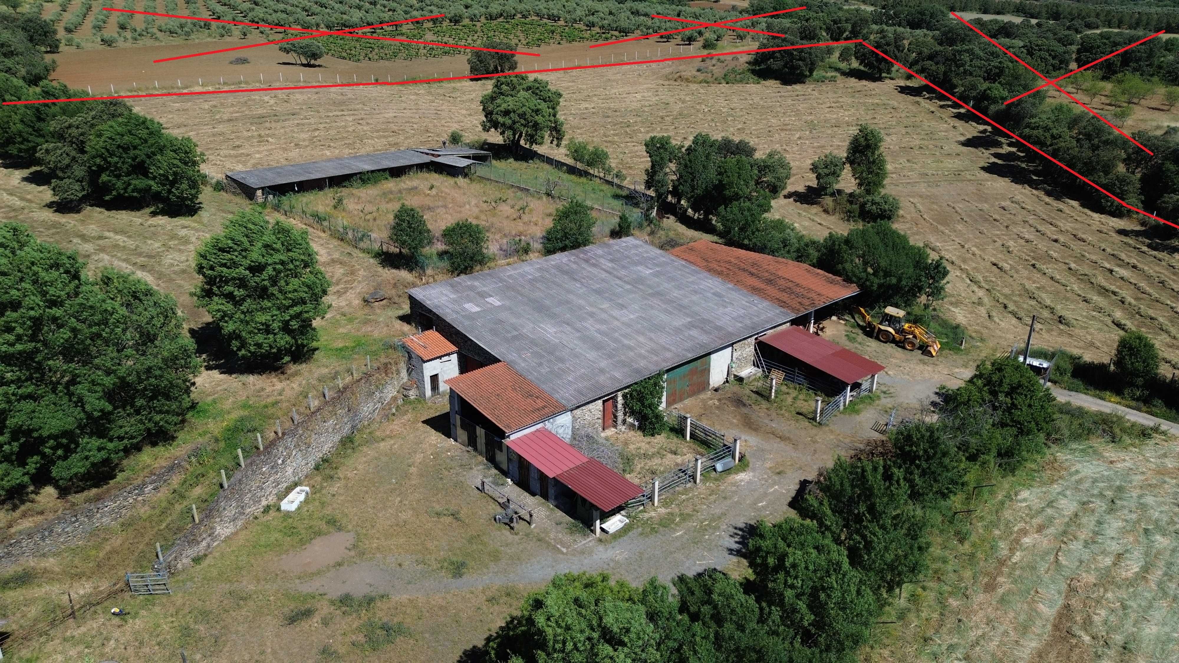 Oportunidade Única: Magnífica Quinta de 6 Hectares - Casa e Estábulos!