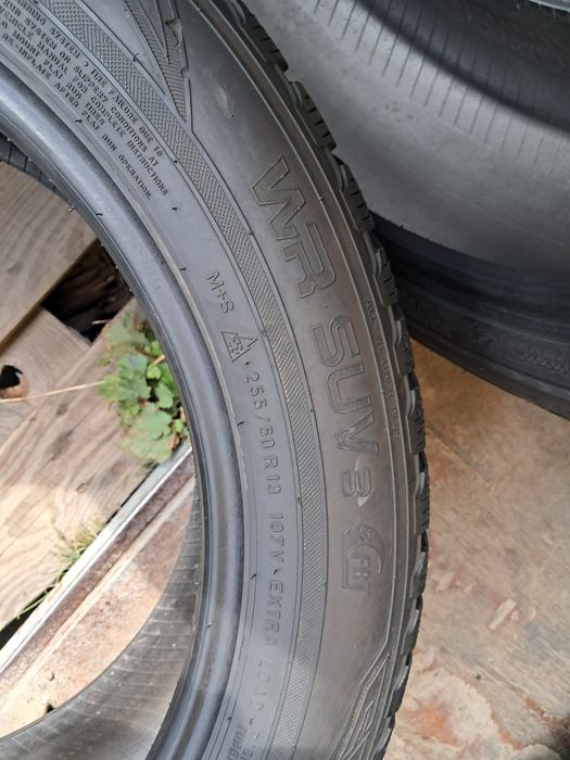 255  50  р  19  є  255  55  р  19