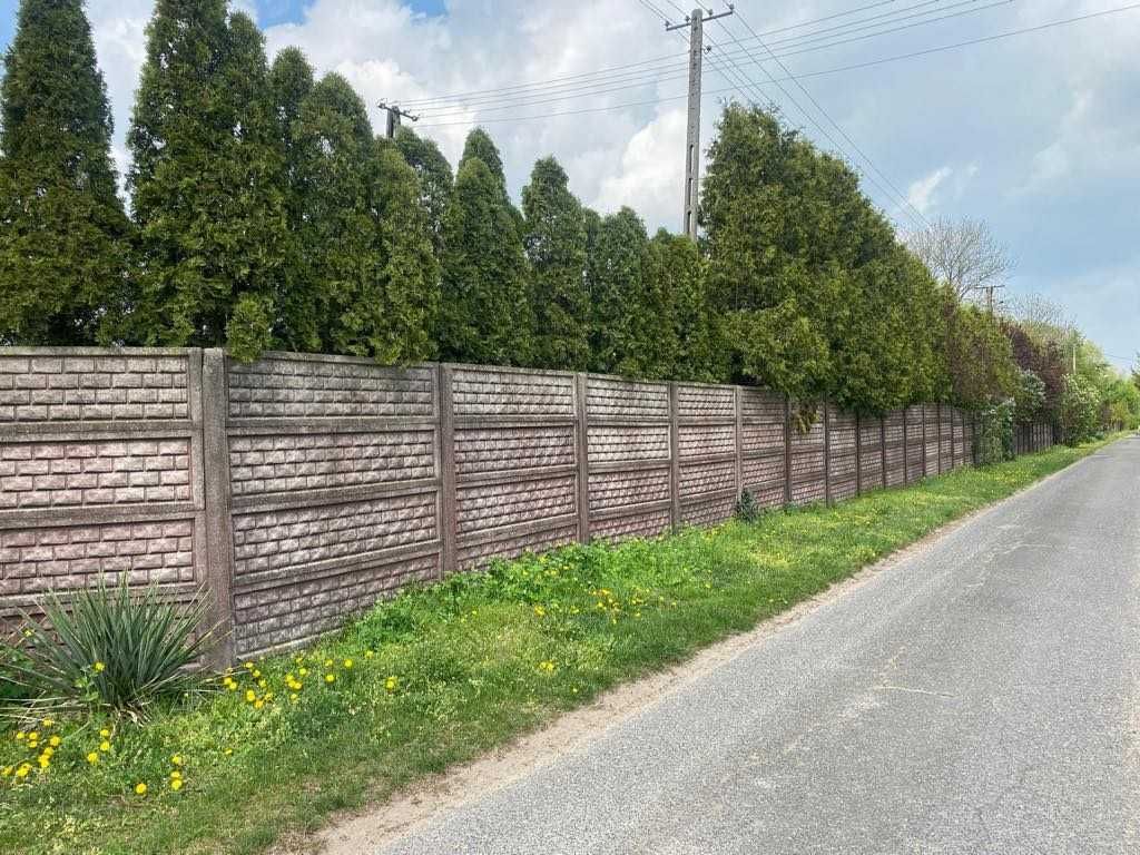 Działka z parkiem, naturą i stawem !