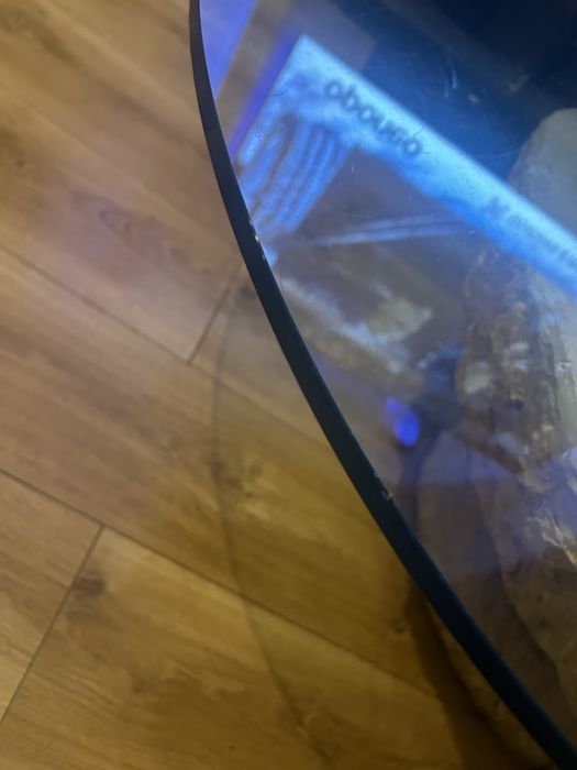 Stolik muszla kawowy design kamień naturalny  nietypowy stół muszelki