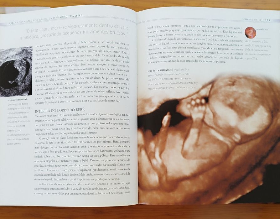 Livros sobre a Gravidez