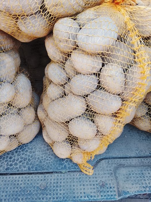 Ziemniaki żółte Vineta