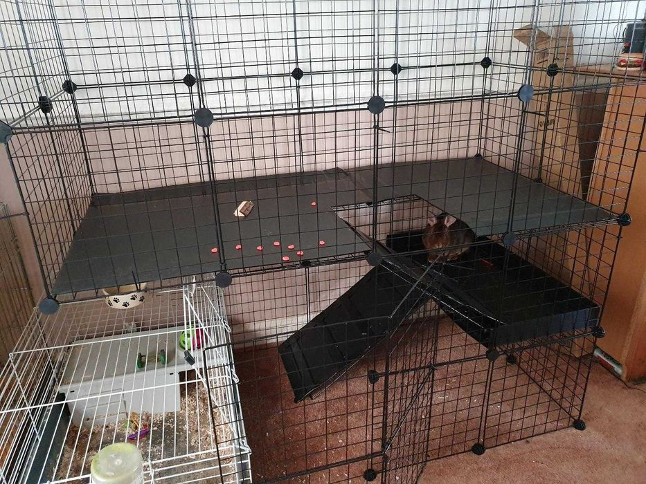 KOJEC WYBIEG KLATKA DLA GRYZONI królików świnek duża dwa poziomy