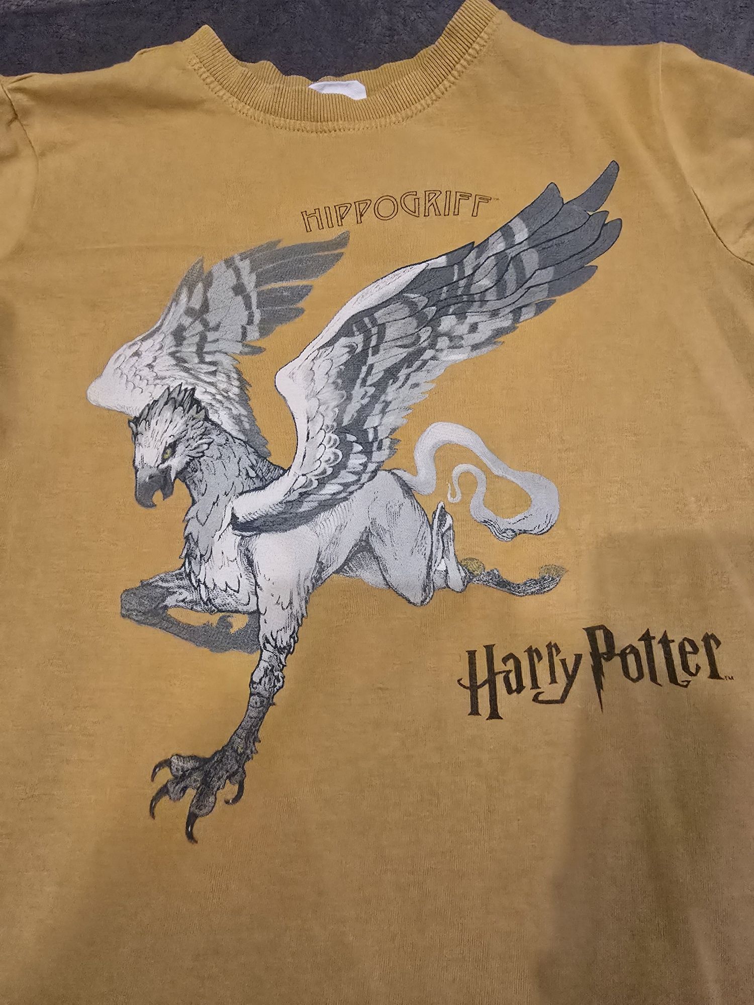 T shirt, koszulka Harry Potter Coccodrillo 146