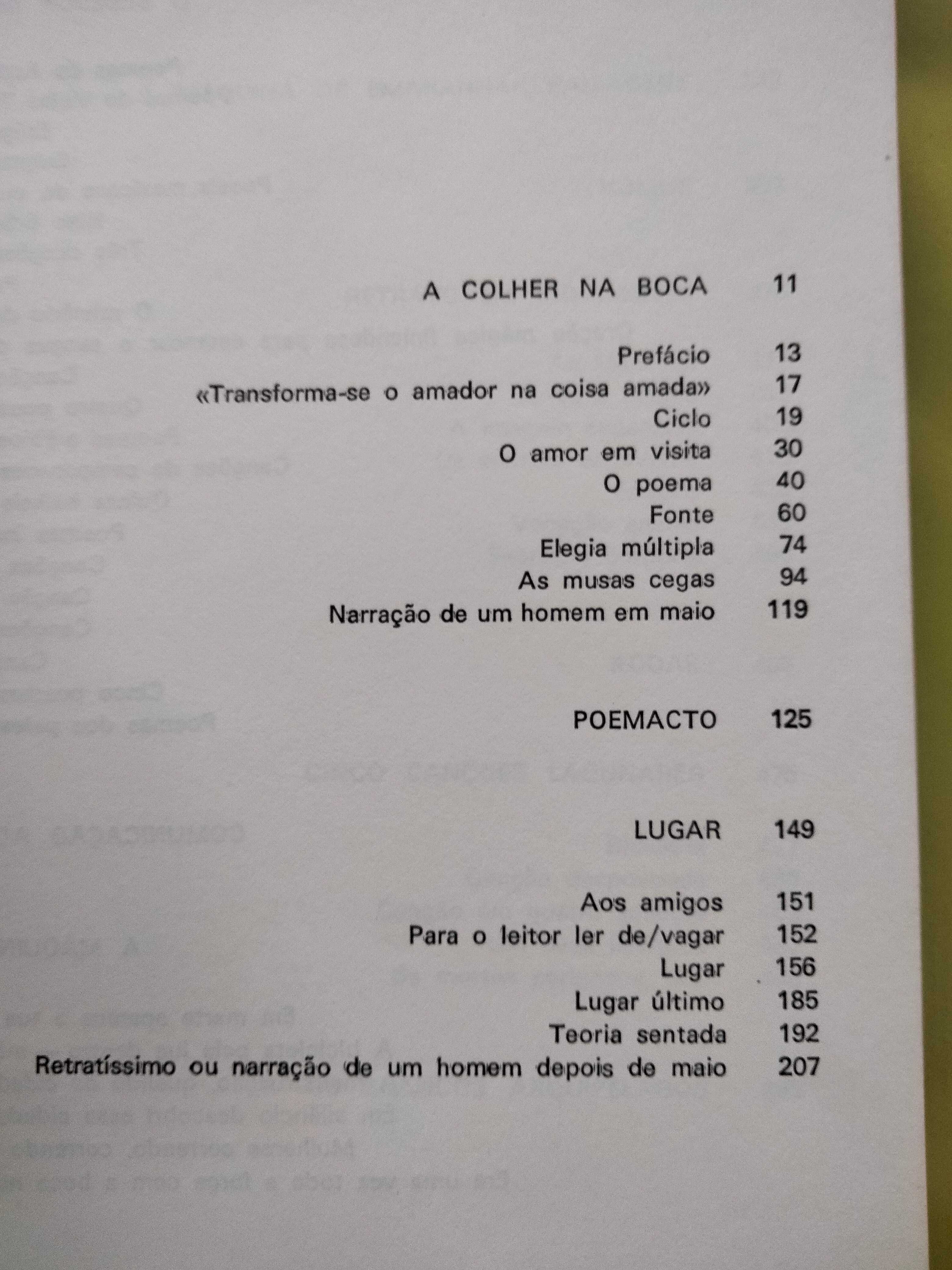 Poesia Toda - Herberto Helder (1ª Edição)