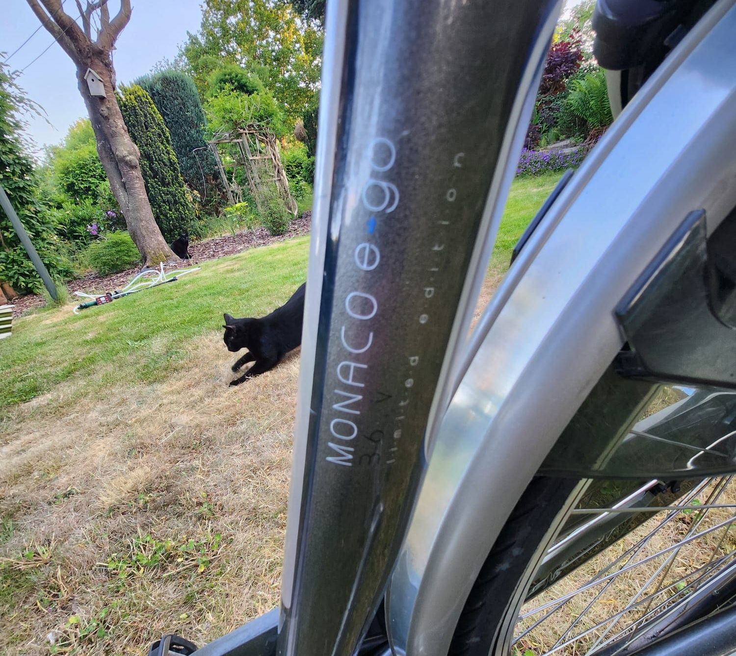 Rower batavus elektryczny