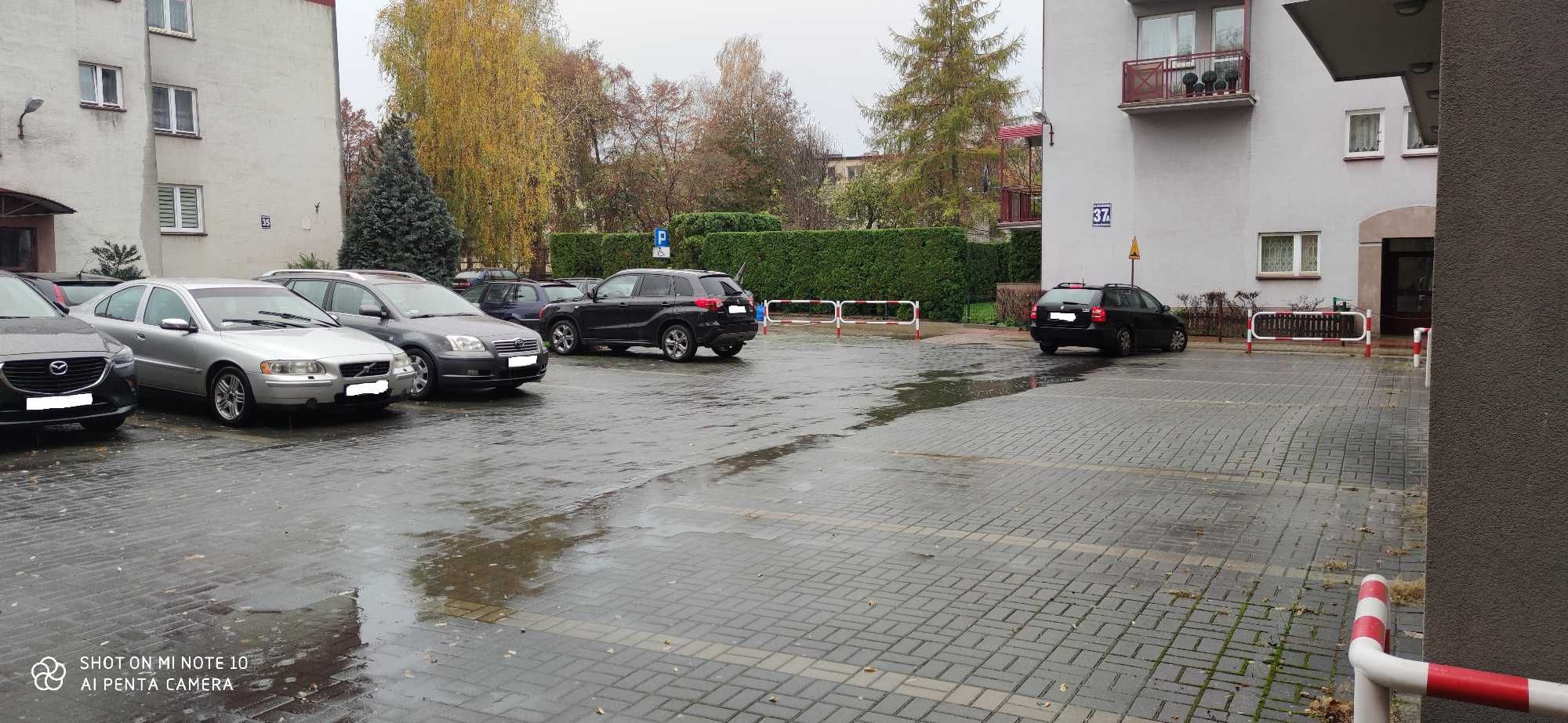 Wynajmę 1 lub 2 kondygnacje w budynku handlowym