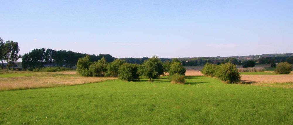 Koźla piękna działka sad warunki zabudowy 5500mkw