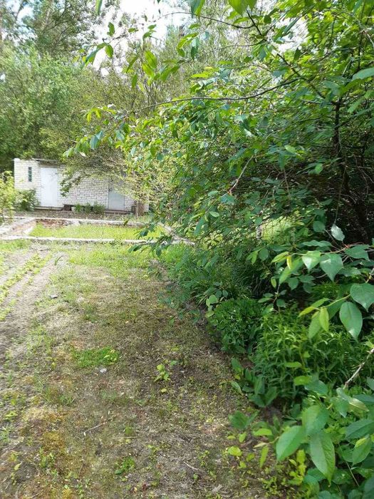 Ділянка 9 соток у садовому товаристві "Якір", приватизована RD