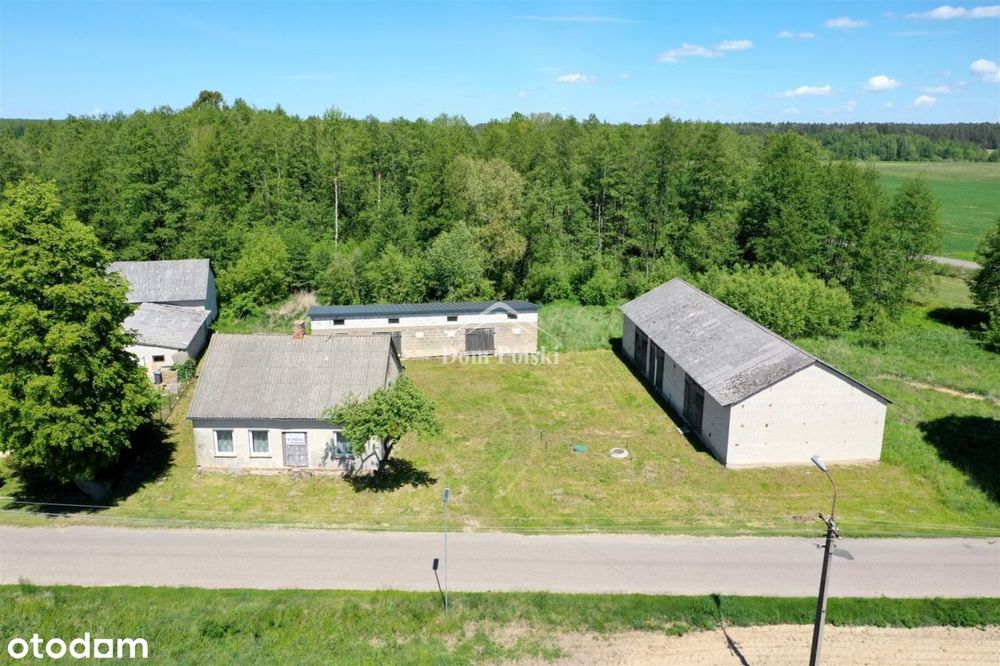 Siedlisko pod lasem 0,5ha - Nieszki,gm.Bakałarzewo