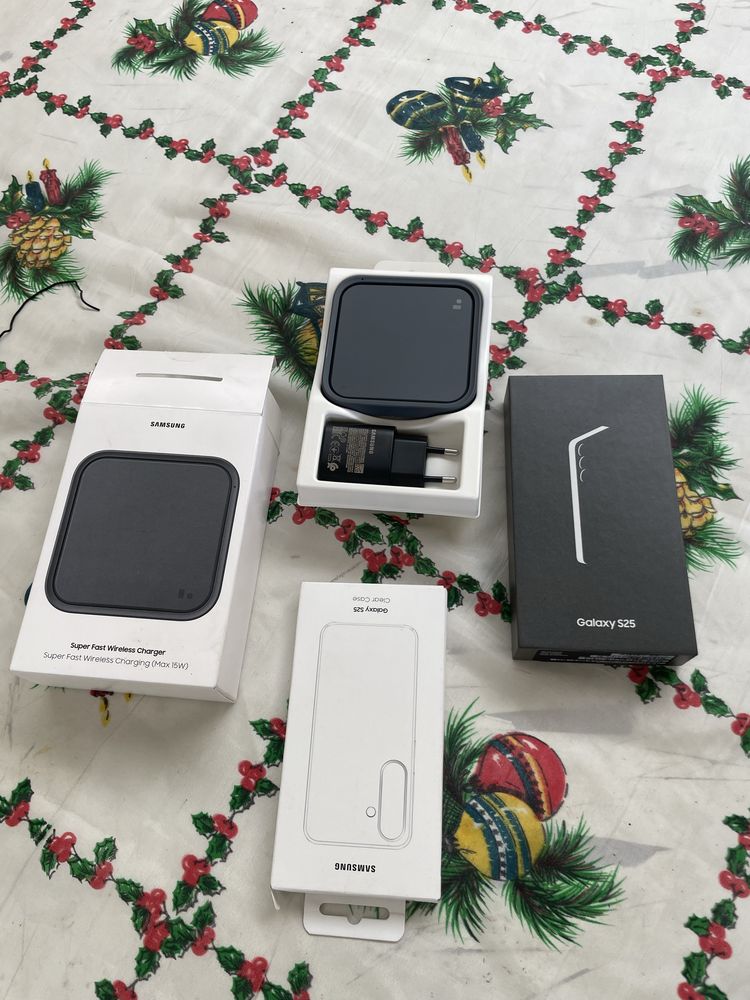 Samsung Galaxy S25